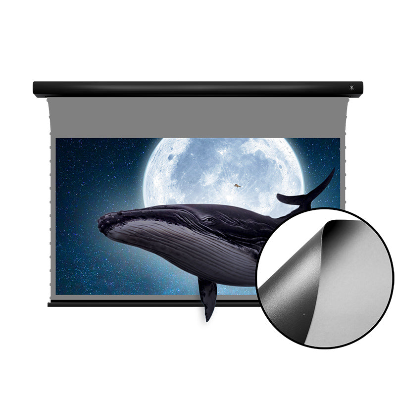 XIJING D1 High Gain 84~120 inch Electric Drop Down Screens