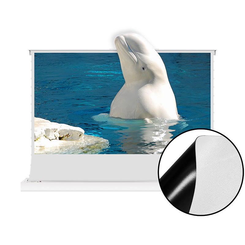 XIJING F1 Electric Tension Floor Rising Screen With White Cinema Material