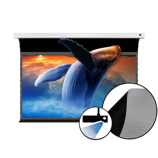 LittleJammerpro Live!Screen Music I新品未使用 Amazon.com: VIVIDSTORM 4K/3D/UHD Deluxe Tab-tensioned Screen