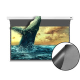 XIJING ALR 84~120 inch projection screens