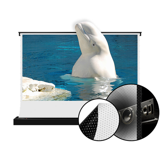 XIJING F1 P White Cinema P Electric Tension Floor projection Screen With White Cinema Material